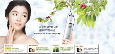 探索韩国美妆世界 热门品牌解析与代理代办指南